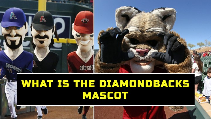 Why is the Diamondbacks' mascot a bobcat instead of a snake?